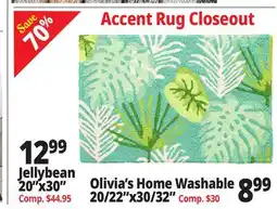 Ocean State Job Lot Olivia's Home Washable 20/22x30/32 offer