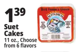 Ocean State Job Lot C&S Woodpecker Brick 11.25 oz offer