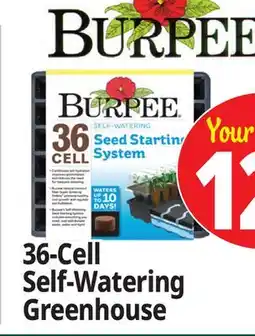 Ocean State Job Lot Burpee Self-Watering Seed Starting System 36-Cell offer