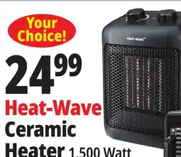 Ocean State Job Lot Heat-Wave Ceramic Heater offer