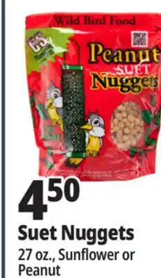 Ocean State Job Lot C&S Sunflower Suet Nuggets 27 oz offer