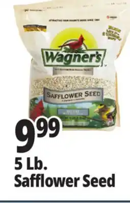 Ocean State Job Lot Wagner's Safflower Seed Deluxe Wild Bird Food offer