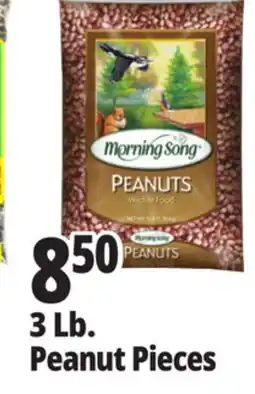 Ocean State Job Lot Morning Song Wildlife Food Peanuts 3 lbs offer