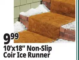 Ocean State Job Lot 10'x18 Non-Slip Coir Ice Runner offer