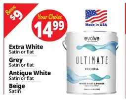 Ocean State Job Lot Paint Gallons & Brushes offer