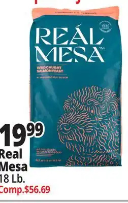 Ocean State Job Lot Real Mesa offer