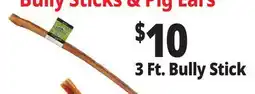 Ocean State Job Lot 3 Ft. Bully Stick offer
