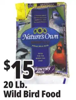 Ocean State Job Lot Wild Bird Food, 20 lbs offer