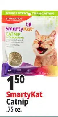 Ocean State Job Lot SmartyKat Catnip offer
