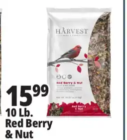 Ocean State Job Lot Harvest Seed & Supply Red Berry & Nut Wild Bird Food 10 lb offer