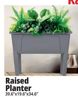 Ocean State Job Lot Raised Planter offer