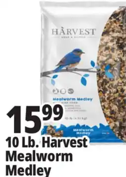 Ocean State Job Lot Harvest Seed & Supply Mealworm Medley Wild Bird Food 10 lb offer