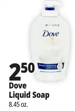 Ocean State Job Lot Dove Liquid Soap offer