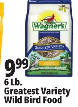 Ocean State Job Lot Wagner's Greatest Variety Deluxe Wild Bird Food 6 lbs offer