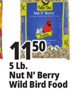 Ocean State Job Lot Better Bird Premium Nut N' Berry Bird Food 5 lbs offer