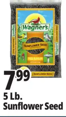 Ocean State Job Lot Wagner's Black Oil Sunflower Seed Wild Bird Food 5 lbs offer