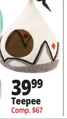 Ocean State Job Lot Teepee offer