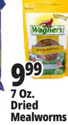 Ocean State Job Lot Wagner's Bird Meal Worms 7oz offer