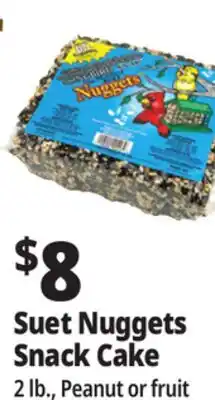 Ocean State Job Lot C&S Songbird Snak with Peanut Suet Nuggets 32 oz offer