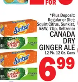 C Town Canada Dry Ginger Ale offer