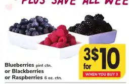 ACME Blueberries pint ctn. or Blackberries or Raspberries 6 oz. ctn offer