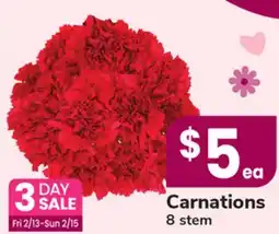 ACME Carnations offer