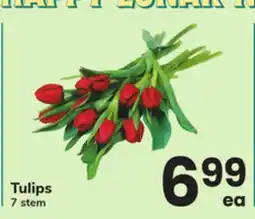 ACME Tulips offer