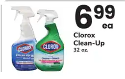ACME Clorox Clean-Up offer