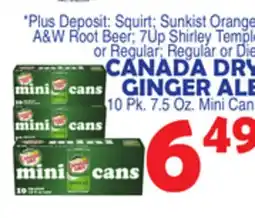 Bravo Supermarkets CANADA DRY GINGER ALE offer