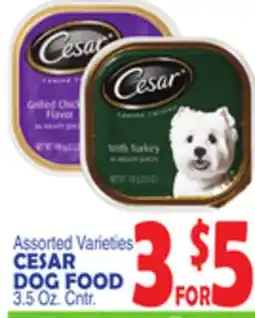 Bravo Supermarkets CESAR DOG FOOD offer