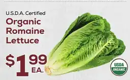 DeCicco & Sons Organic Romaine Lettuce offer