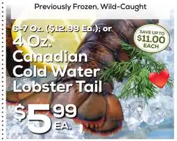 DeCicco & Sons Canadian Cold Water Lobster Tail offer