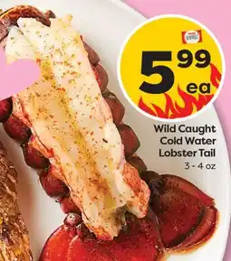 Weis Markets Wild Caught Cold Water Lobster Tail offer