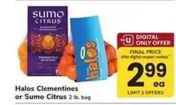 Safeway Halos Clementines or Sumo Citrus offer