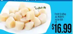 Hmart Fresh Scallop offer