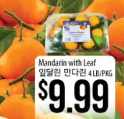 Hmart Mandarin with Leaf offer