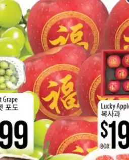 Hmart crossorigin=anonymous src=https://img-static.hFTER Lucky Apple offer