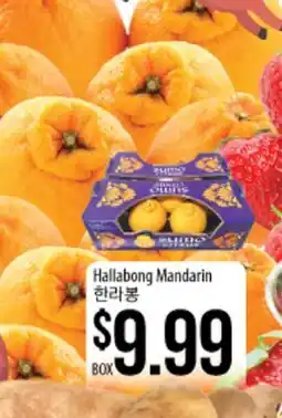 Hmart Hallabong Mandarin offer