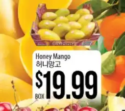 Hmart Honey Mango offer