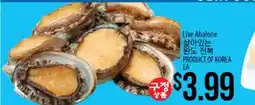 Hmart Live Abalone offer