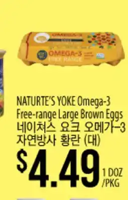 Hmart NATURTE'S YOKE Omega-3 Free-range Large Brown Eggs offer