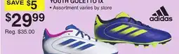Dunham's Sports ADIDAS YOUTH GOLETTO IX offer
