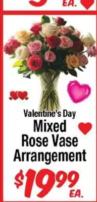 Western Beef Valentine's Day Mixed Rose Vase Arrangement offer