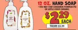 Ollie's DOVE 12 OZ HAND SOAP offer