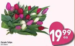 Albertsons Parade Tulips offer