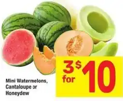 Albertsons Mini Watermelons, Cantaloupe or Honeydew offer