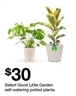 Target Select Good Little Garden self-watering potted plants offer