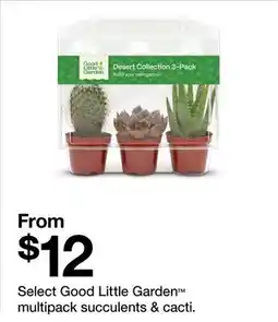 Target Select Good Little Garden multipack succulents & cacti offer