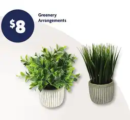 Family Dollar Greenery Arrangements offer