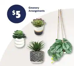 Family Dollar Greenery Arrangements offer